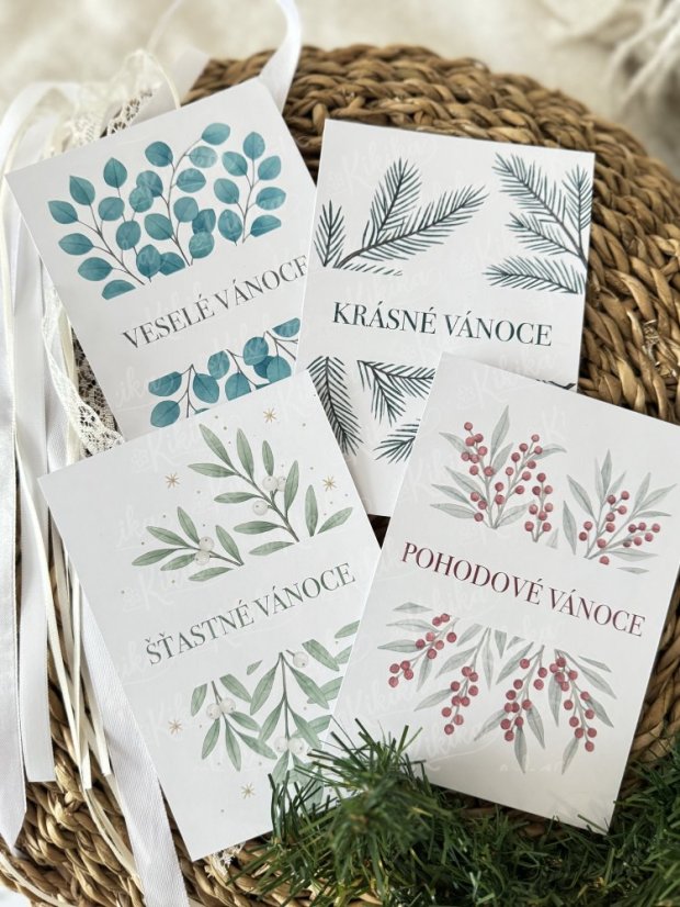 Pohlednice - Zimní větvičky