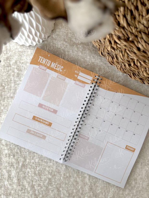 Diář Abstrakt – Nedatovaný