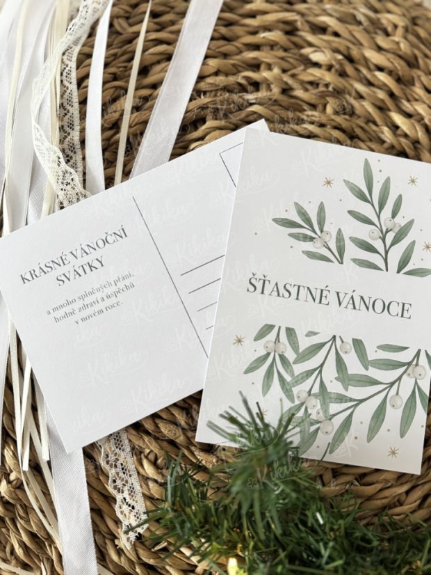 Pohlednice - Zimní větvičky - Motiv pohlednice: Větvičky jmelí