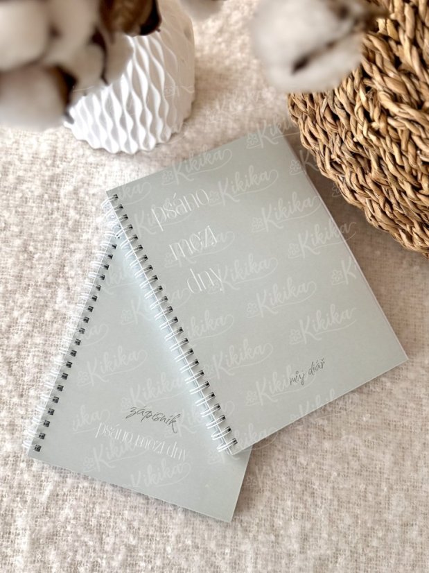 Zápisník Psáno mezi dny