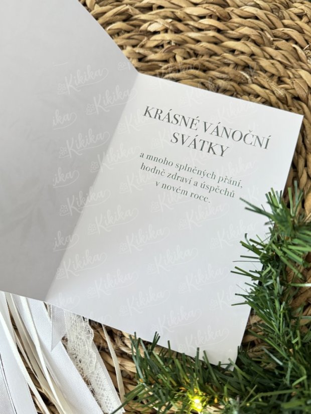 Vánoční přání - Zimní větvičky