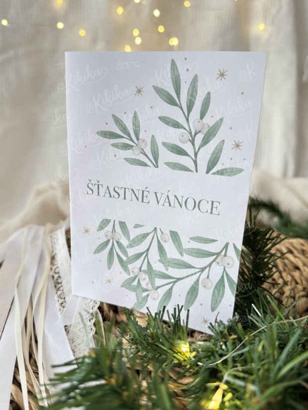 Vánoční přání - Zimní větvičky