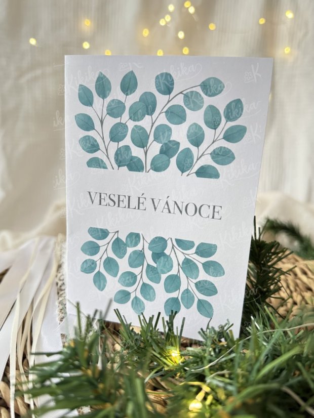 Vánoční přání - Zimní větvičky