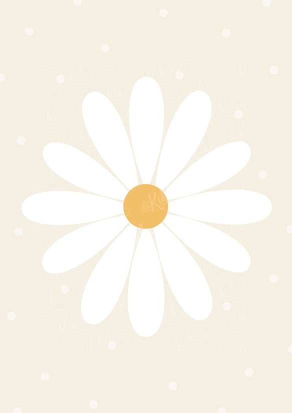 Plakát s ilustrací velké kopretiny v béžovo-bílých tónech. | KIKIKA