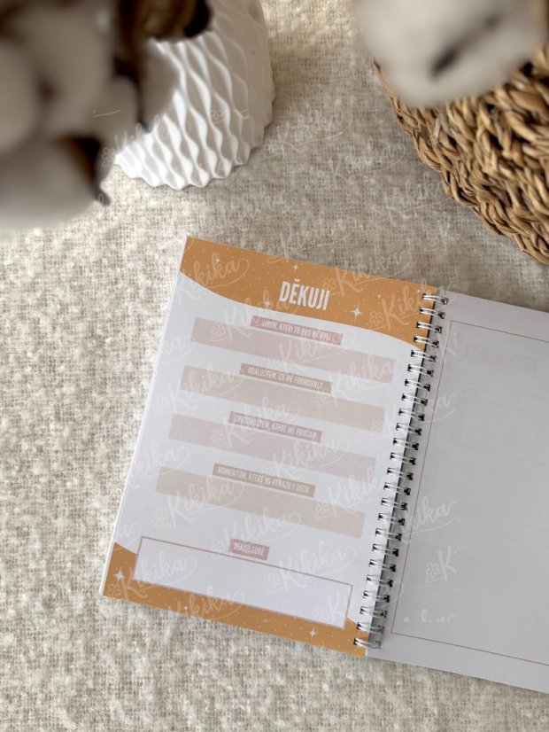 Diář Abstrakt – Nedatovaný