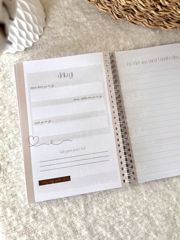 Diář Psáno mezi dny - Nedatovaný