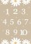 Plakát s čísly od 1 do 10 doplněný o motiv kopretin v béžovo-bílých tónech. | KIKIKA