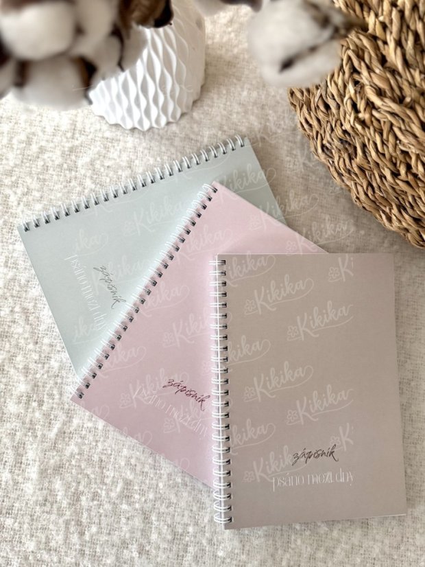 Zápisník Psáno mezi dny