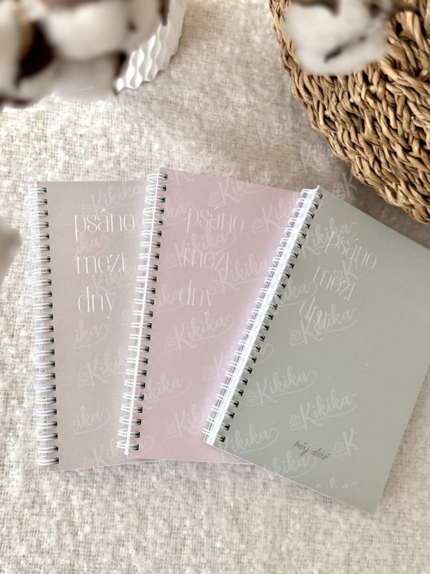 Diář Psáno mezi dny - Nedatovaný