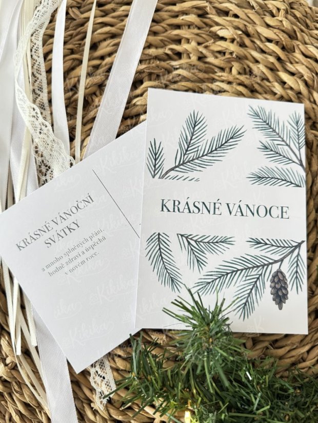 Pohlednice - Zimní větvičky - Motiv pohlednice: Větvičky jmelí