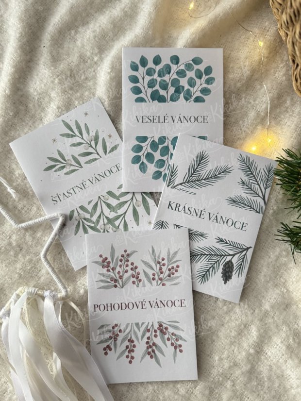 Vánoční přání - Zimní větvičky