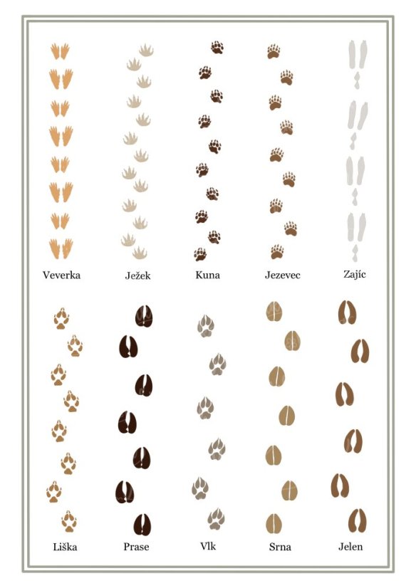 Plakát s motivem stop zvířat v přírodních tónech. | KIKIKA