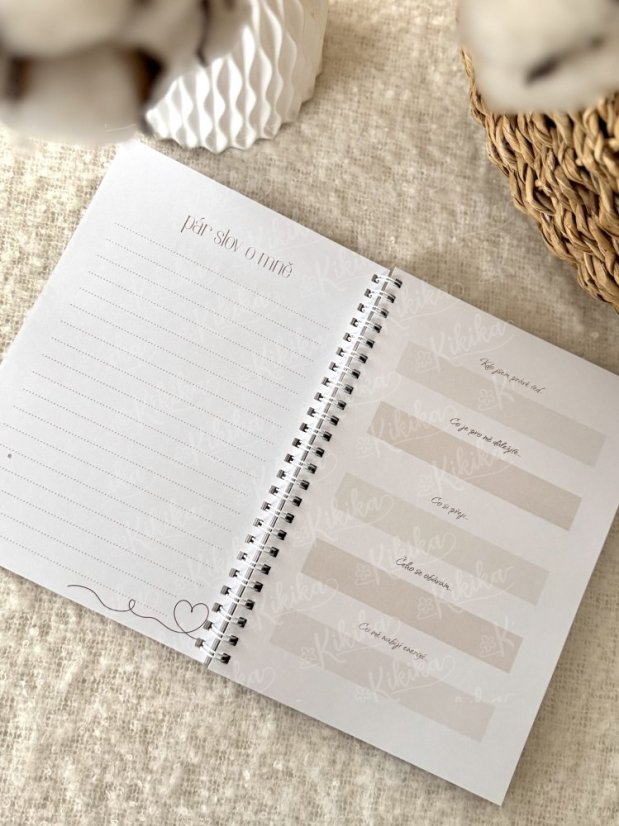 Zápisník Psáno mezi dny