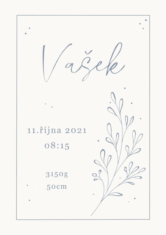 Personalizovaný plakát s údaji o narození – Něžnost - Formát:: A3, Motiv:: Větvička - modrošedá